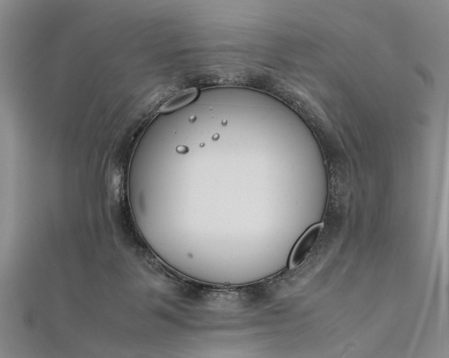 X0000112170123200908211435