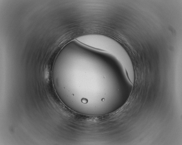 X0000112170124200908211435