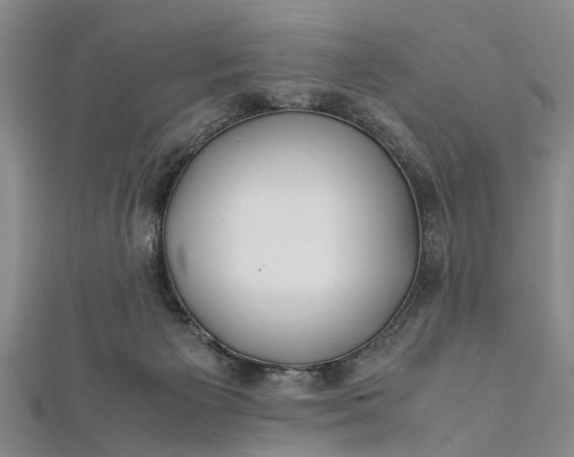 X0000112170125200908211435