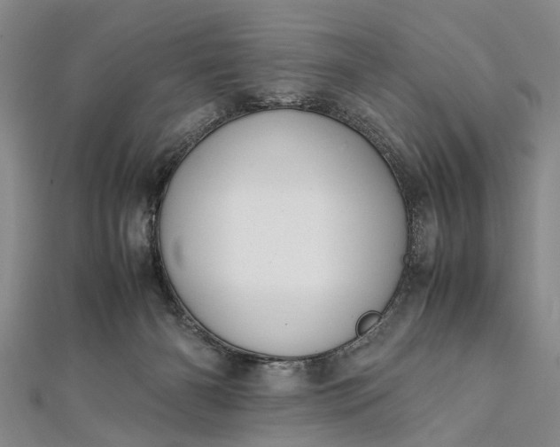 X0000112170126200908211434