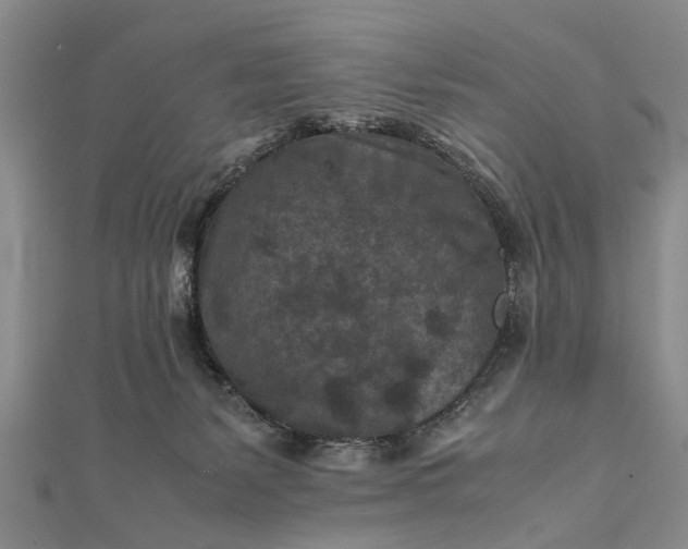 X0000112170127200908211434