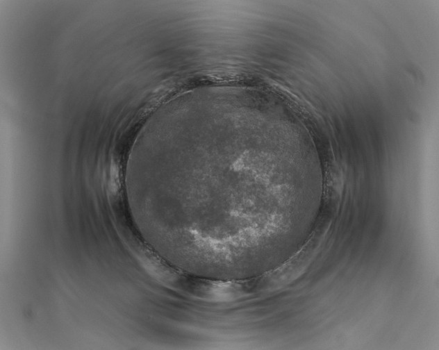 X0000112170130200908211434