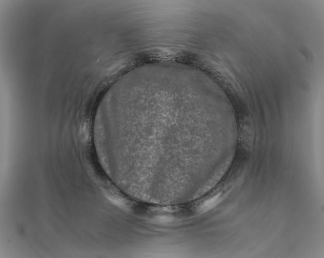 X0000112170131200908211434