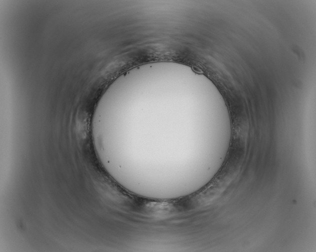 X0000112170133200908211434