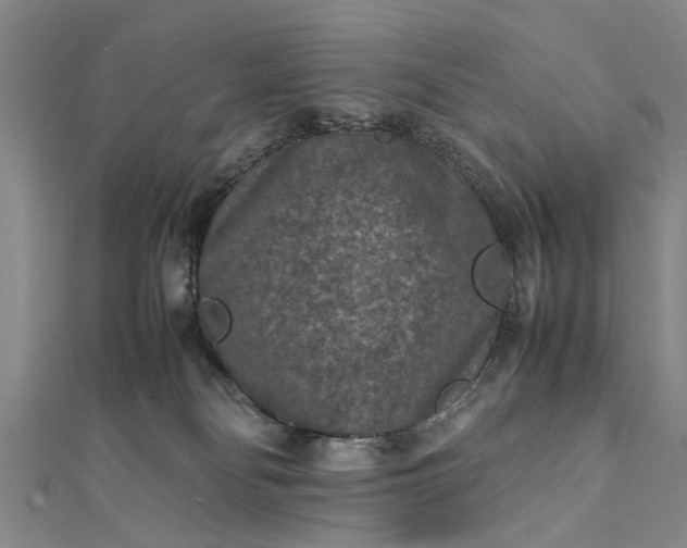 X0000112170134200908211434