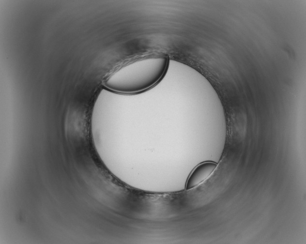 X0000112170136200908211434