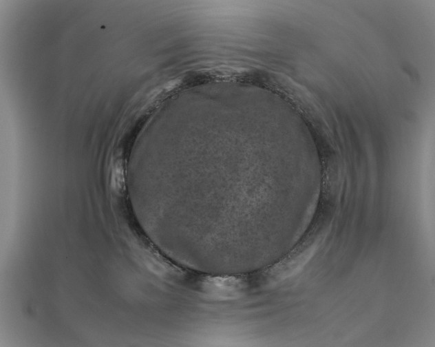 X0000112170137200908211434