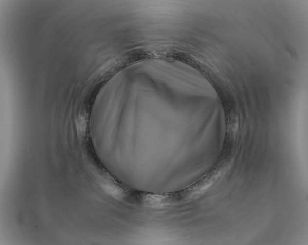 X0000112170139200908211434