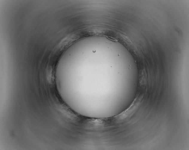 X0000112170140200908211434