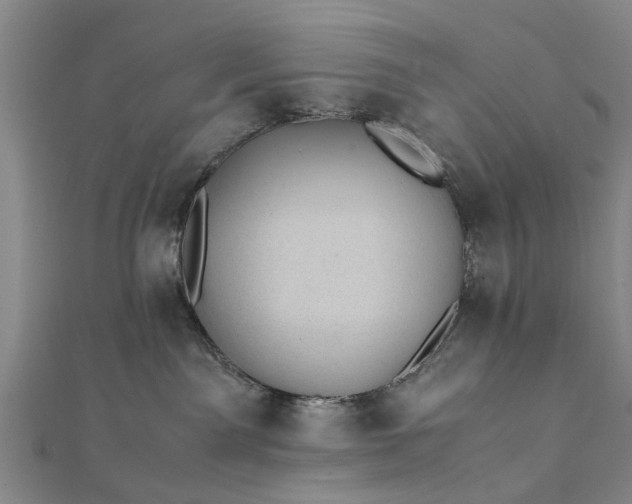 X0000112170141200908211434