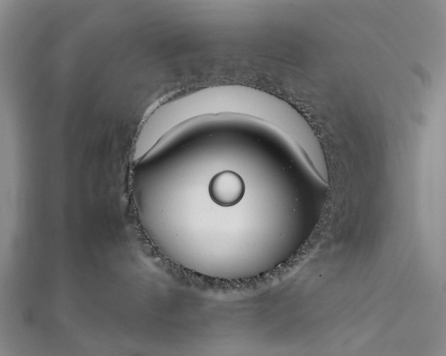 X0000112170144200908211434