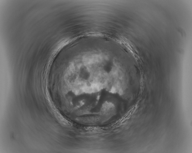 X0000112170145200908211434