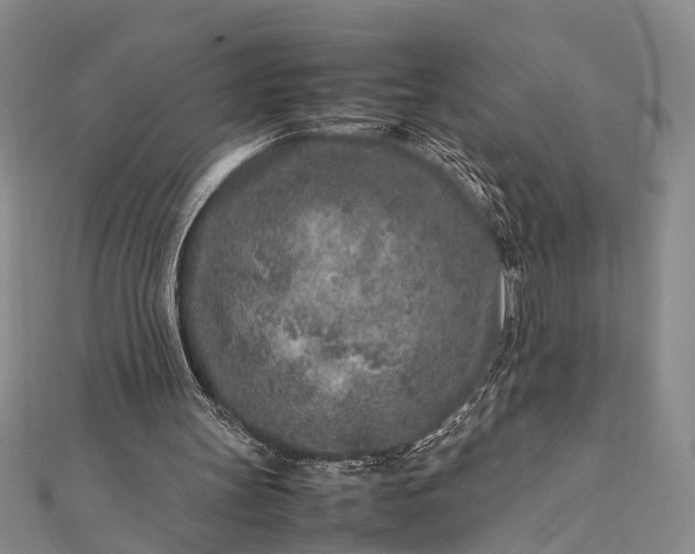 X0000112170147200908211434