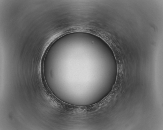 X0000112170148200908211434