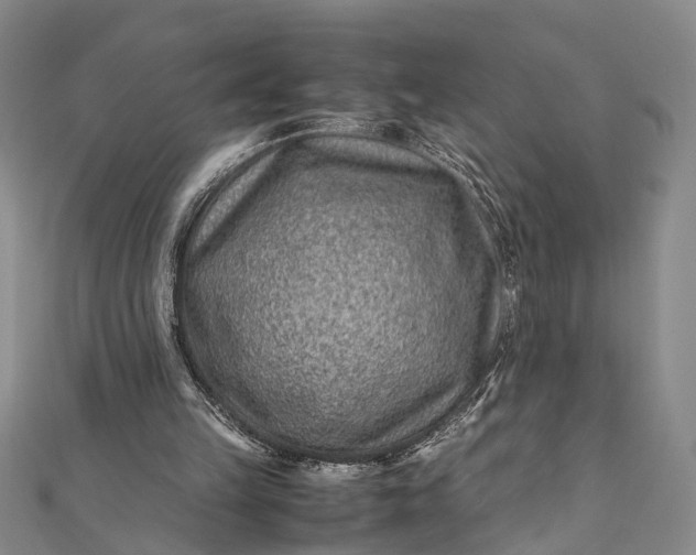 X0000112170149200908211434