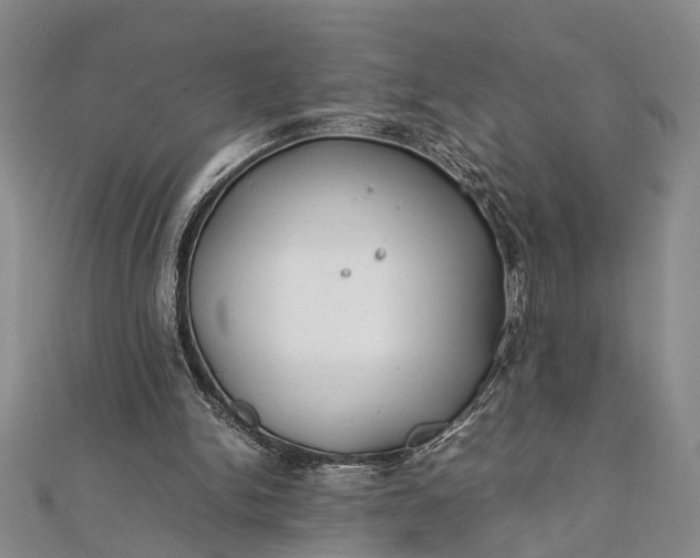 X0000112170150200908211434