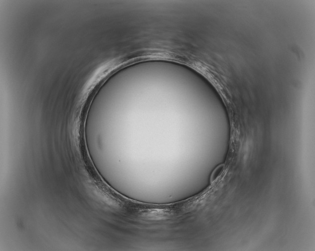 X0000112170151200908211434