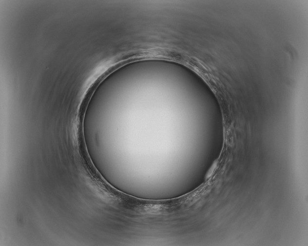 X0000112170152200908211434