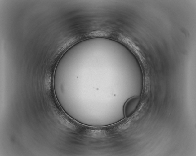 X0000112170153200908211434