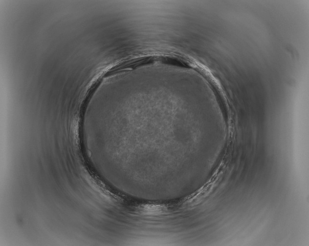 X0000112170154200908211434