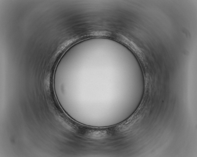 X0000112170155200908211434