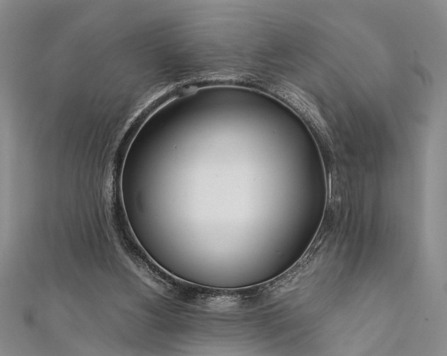 X0000112170156200908211434