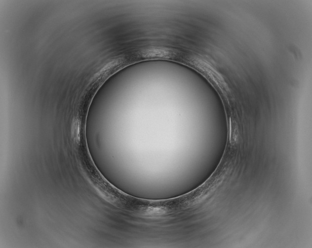 X0000112170157200908211434