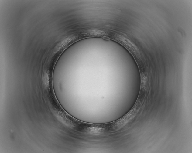 X0000112170158200908211434