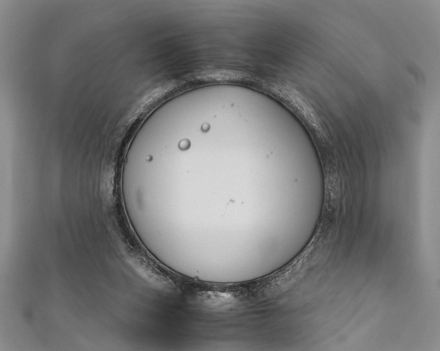 X0000112170159200908211434