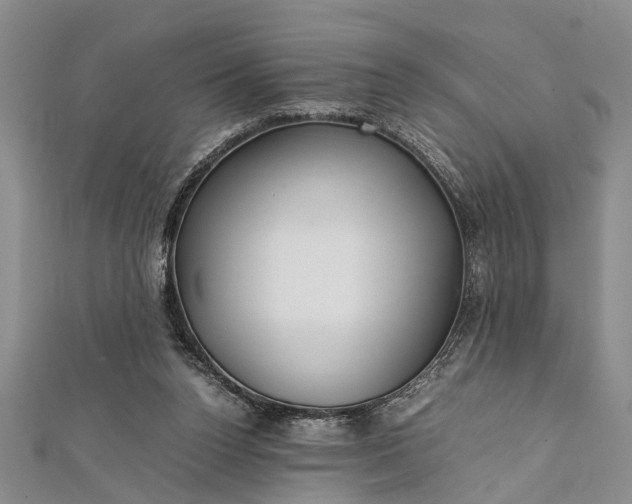 X0000112170160200908211434