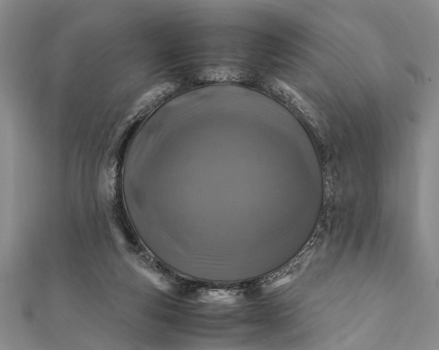 X0000112170163200908211434