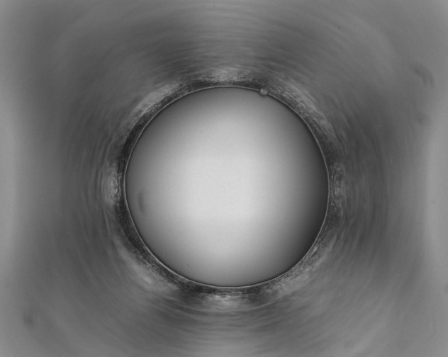 X0000112170164200908211434