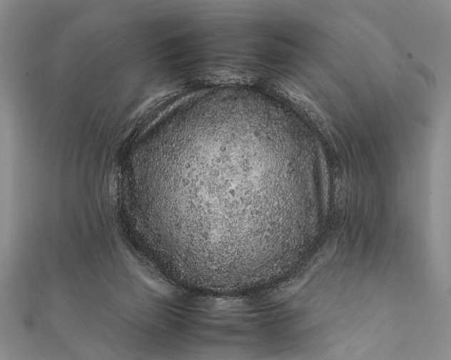 X0000112170165200908211434