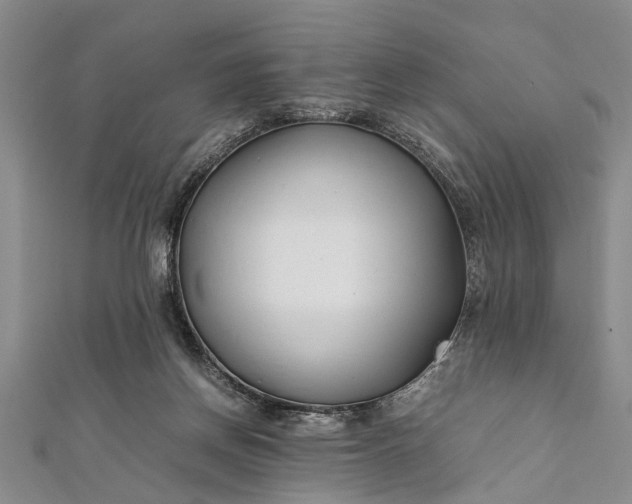 X0000112170166200908211434