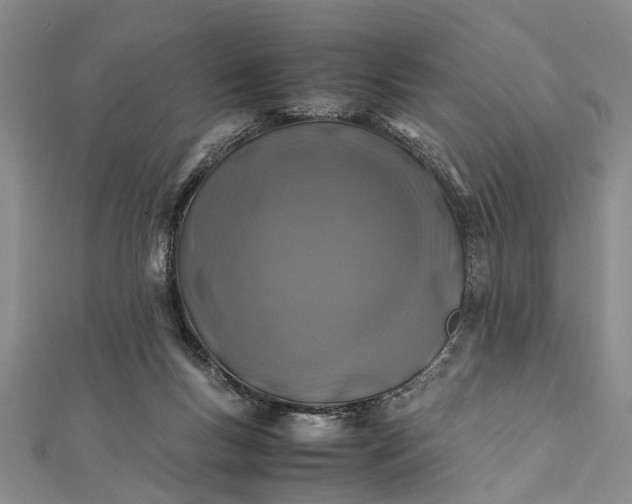 X0000112170167200908211434