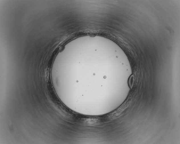 X0000112170168200908211434