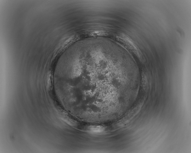 X0000112170169200908211434