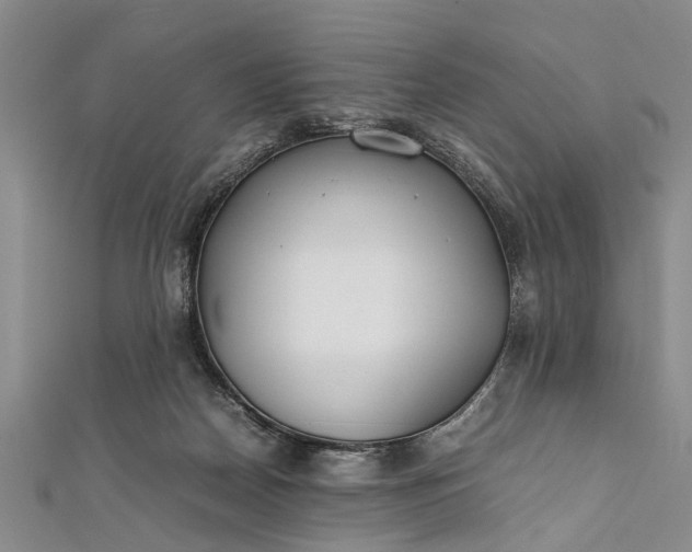 X0000112170170200908211434