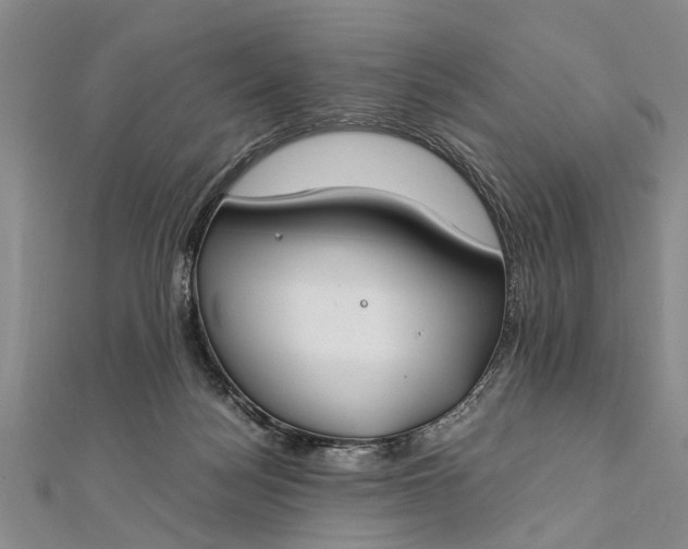 X0000112170172200908211434