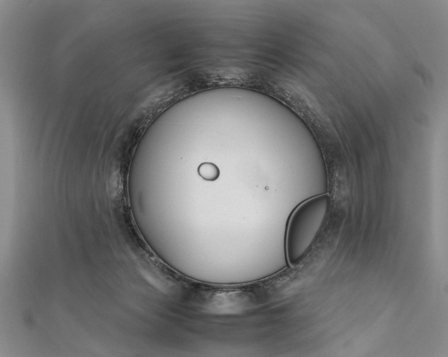 X0000112170173200908211434