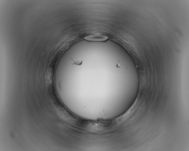 X0000112170174200908211434