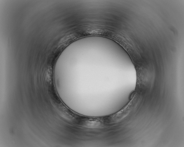 X0000112170175200908211434