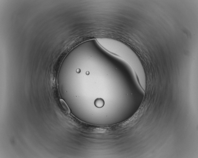 X0000112170176200908211434