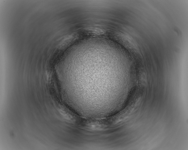 X0000112170177200908211434