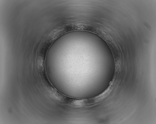 X0000112170178200908211434