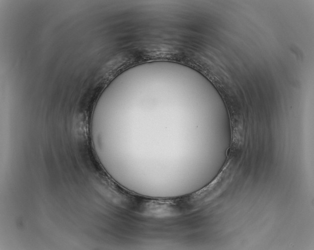 X0000112170179200908211434