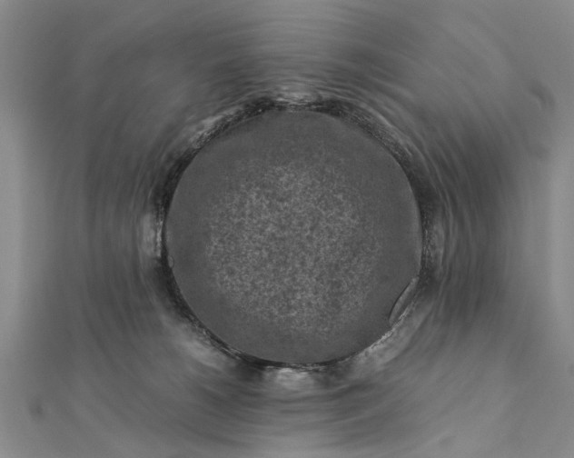 X0000112170180200908211434