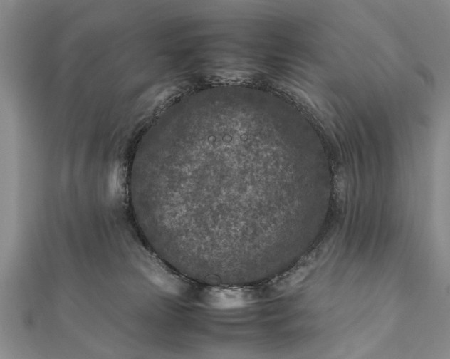 X0000112170181200908211434