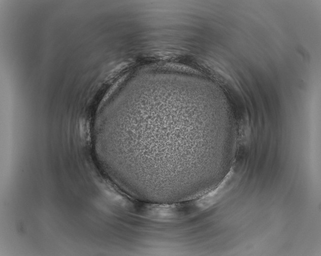 X0000112170182200908211434