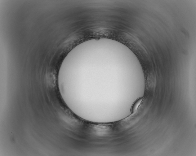 X0000112170183200908211434